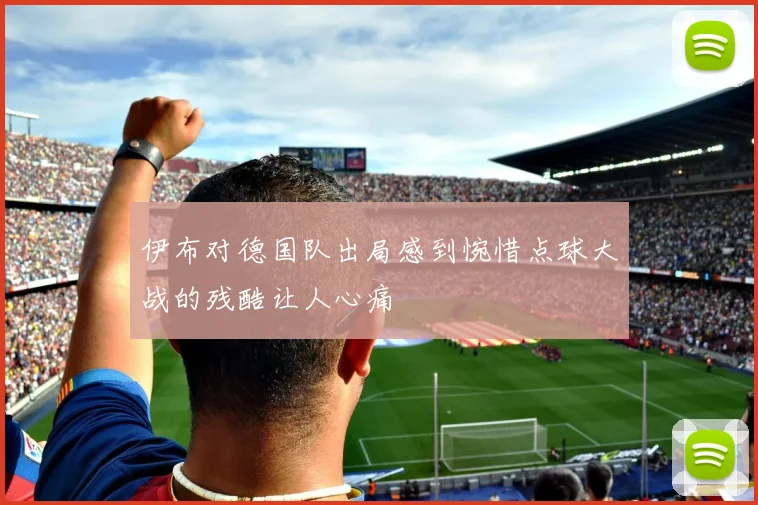 伊布对德国队出局感到惋惜点球大战的残酷让人心痛