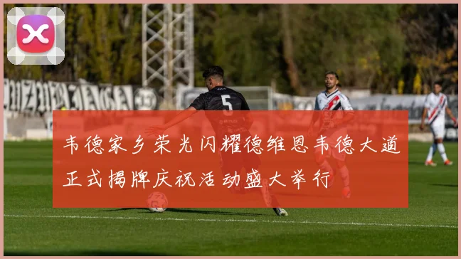 韦德家乡荣光闪耀德维恩韦德大道正式揭牌庆祝活动盛大举行